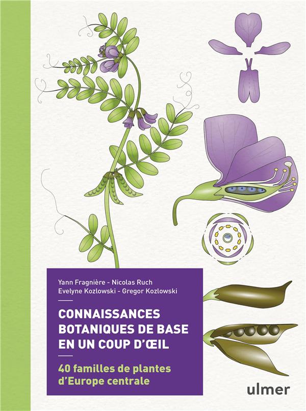 CONNAISSANCES BOTANIQUES DE BASE EN UN COUP D'OEIL