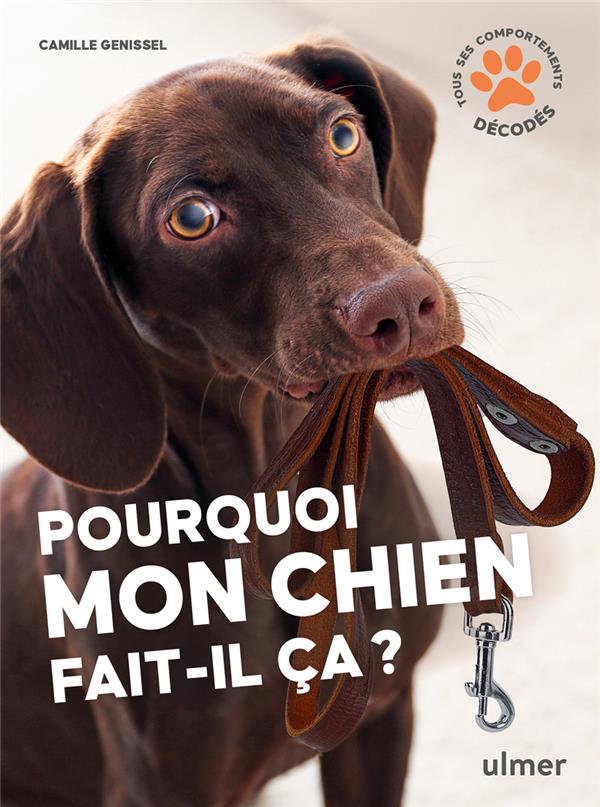 POURQUOI MON CHIEN FAIT-IL CA?