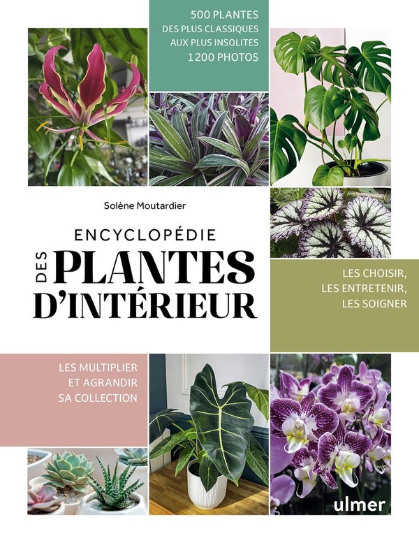 ENCYCLOPEDIE DES PLANTES D'INTERIEUR