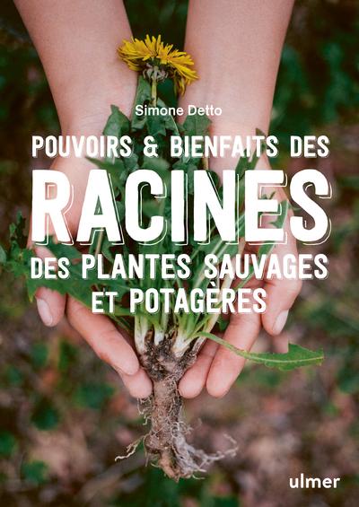 POUVOIRS & BIENFAITS DES RACINES DES PLANTES SAUVAGES ET POTAGERES