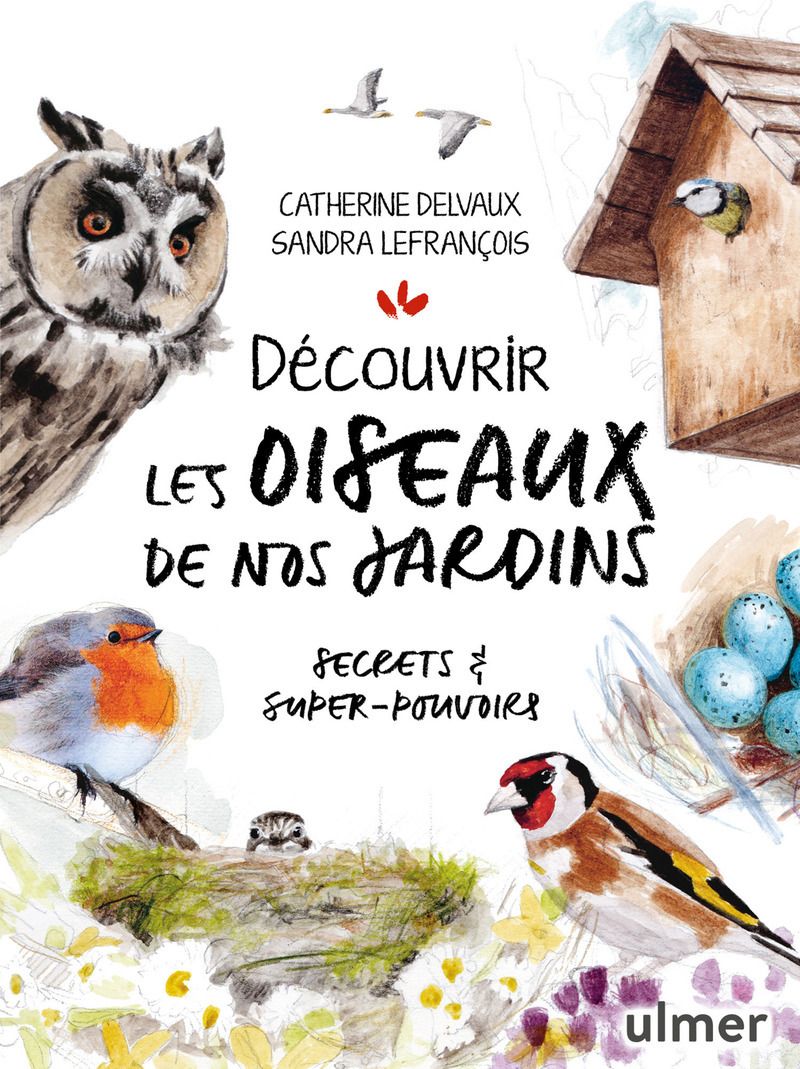 DECOUVRIR LES OISEAUX DE NOS JARDINS