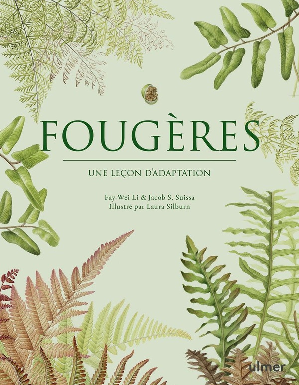 FOUGERES - UNE LECON D'ADAPTATION