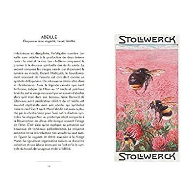 LE PETIT LIVRE DES SYMBOLES