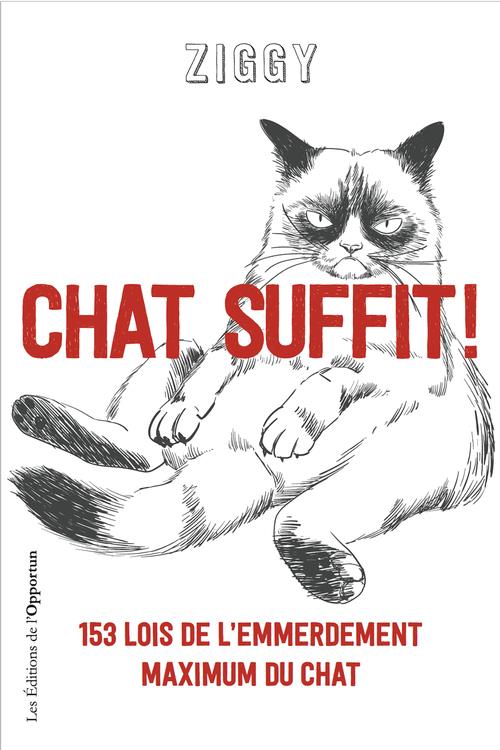 CHAT SUFFIT ! 153 LOIS DE L'EMMERDEMENT MAXIMUM DU CHAT