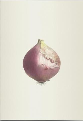 CAHIER VEGETAL - PLANTES POTAGERES