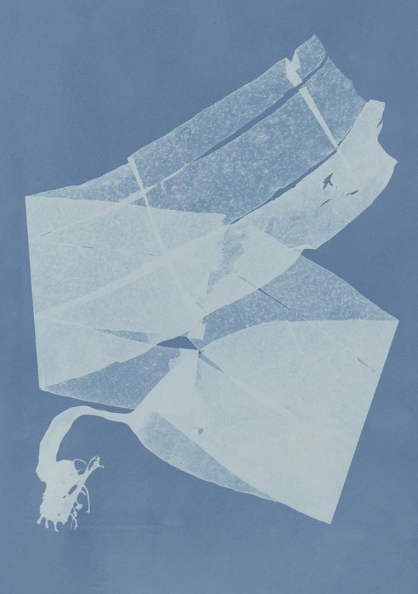 CARNET  HERBIER DES MERS