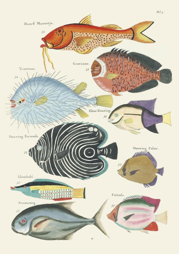 CARNET - POISSONS, ECREVISSES ET CRABES