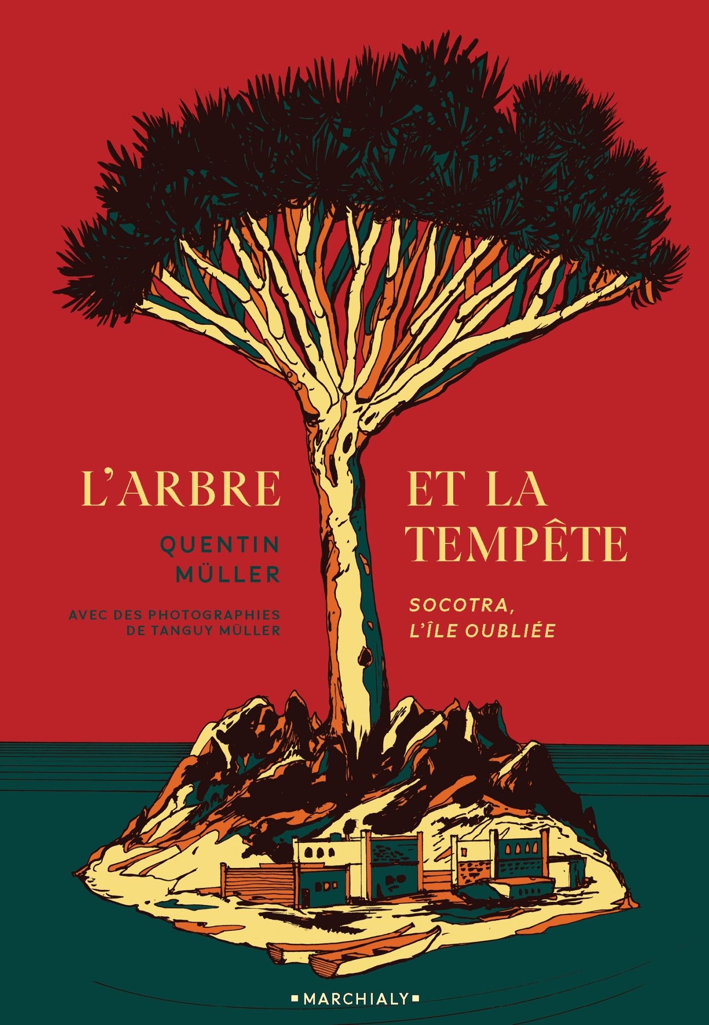 L'ARBRE ET LA TEMPETE - SOCOTRA, L ILE OUBLIEE