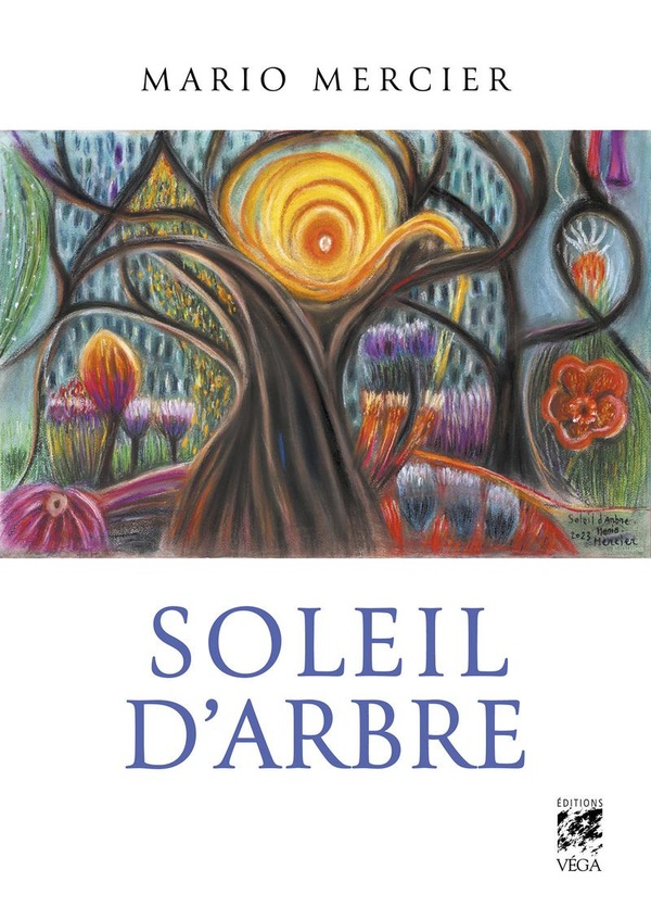 SOLEIL D'ARBRE