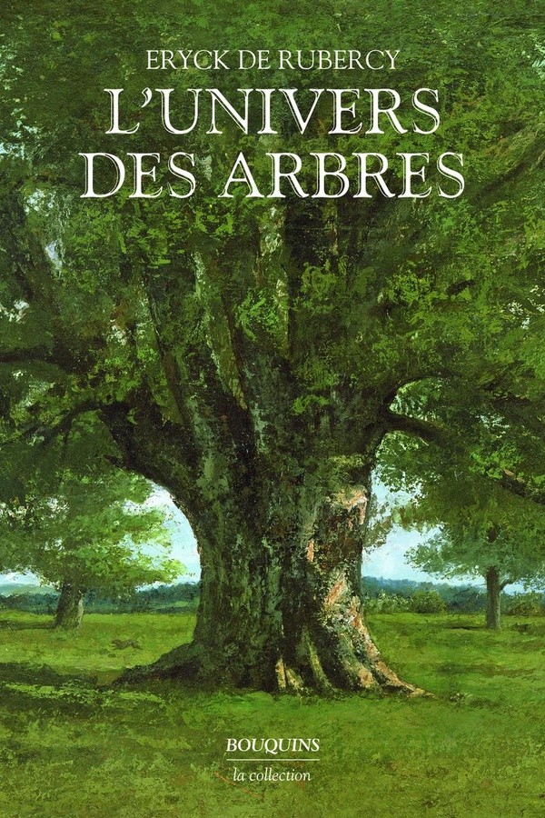 L'UNIVERS DES ARBRES