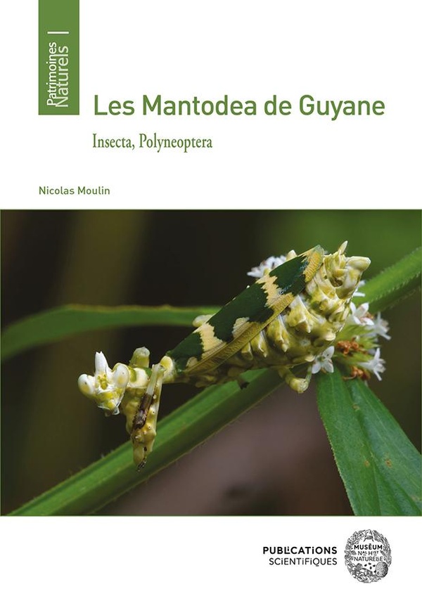 LES MANTODEA DE GUYANE - INSECTA, POLYNEOPTERA