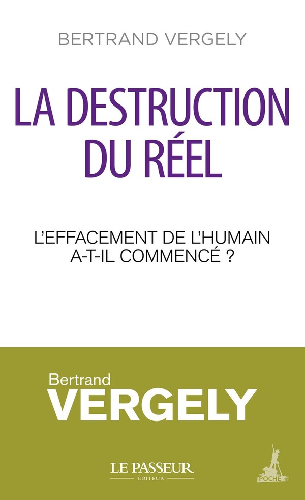 LA DESTRUCTION DU REEL