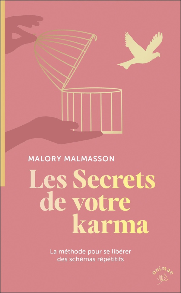 LES SECRETS DE VOTRE KARMA - LA METHODE POUR SE LIBERER DES SCHEMAS REPETITIFS