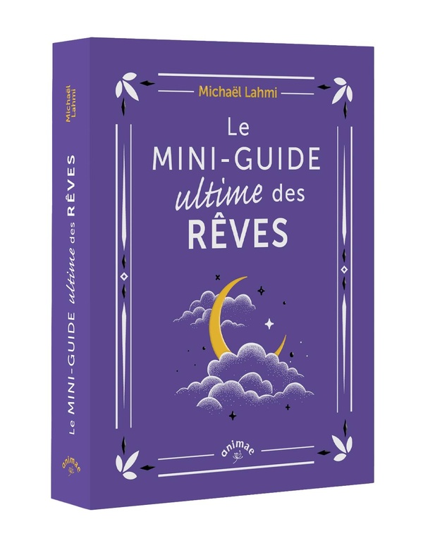 LE MINI-GUIDE ULTIME DES REVES