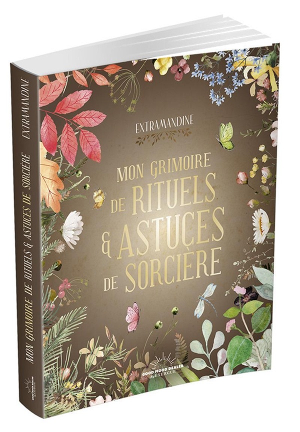 MON GRIMOIRE DE RITUELS ET ASTUCES DE SORCIERE