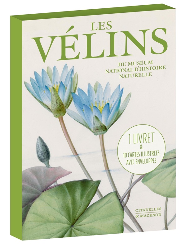 CARTES VELINS
