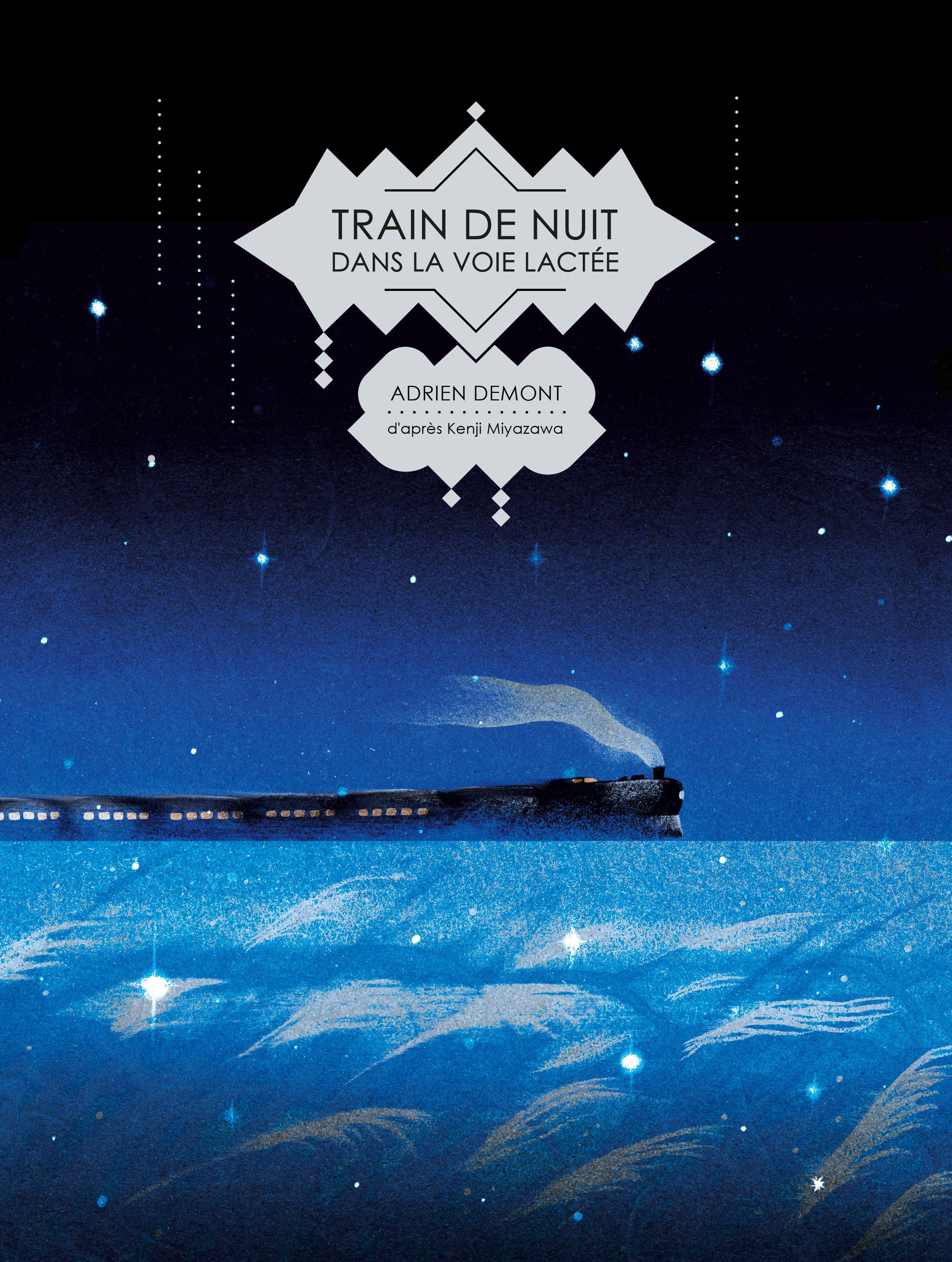TRAIN DE NUIT DANS LA VOIE LACTEE