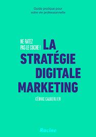 LA STRATEGIE DIGITALE MARKETING - NE RATEZ PAS LE COCHE ! - GUIDE PRATIQUE POUR VOTRE VIE PROFESSION