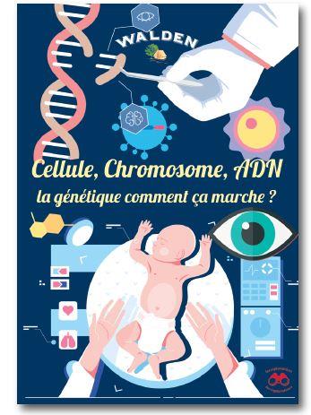 CELLULE, CHROMOSOME, ADN... - LA GENETIQUE COMMENT CA MARCHE ?