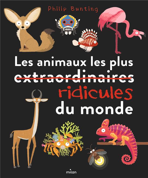 LES ANIMAUX LES PLUS RIDICULES DU MONDE