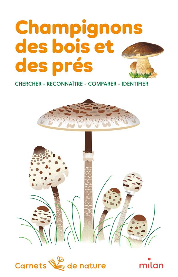 CHAMPIGNONS DES BOIS ET DES PRES