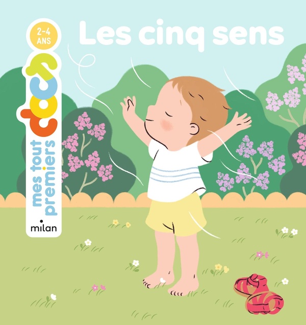 LES CINQ SENS
