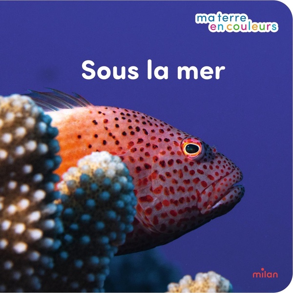 SOUS LA MER