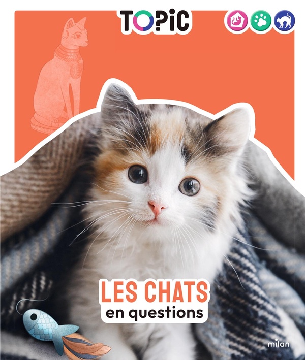 LES CHATS - EN QUESTIONS