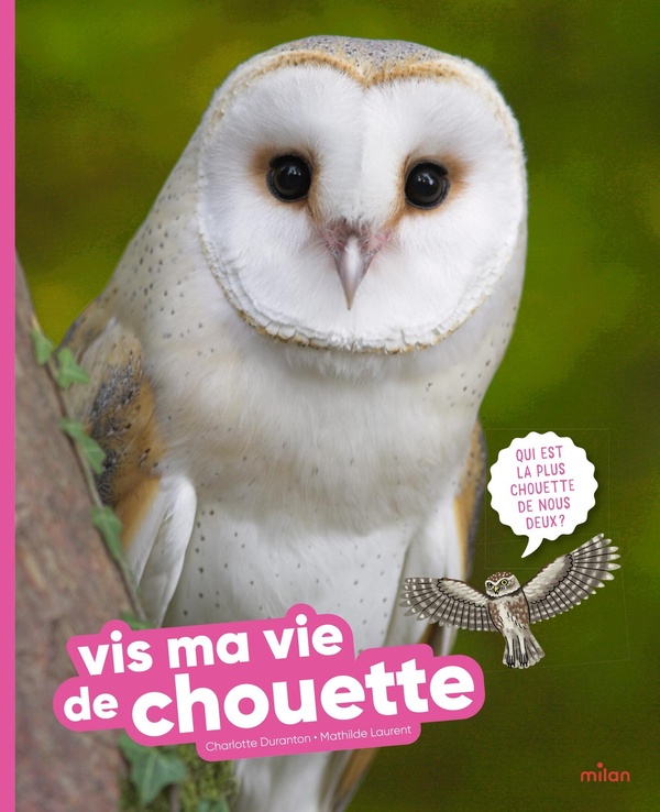 VIS MA VIE DE CHOUETTE