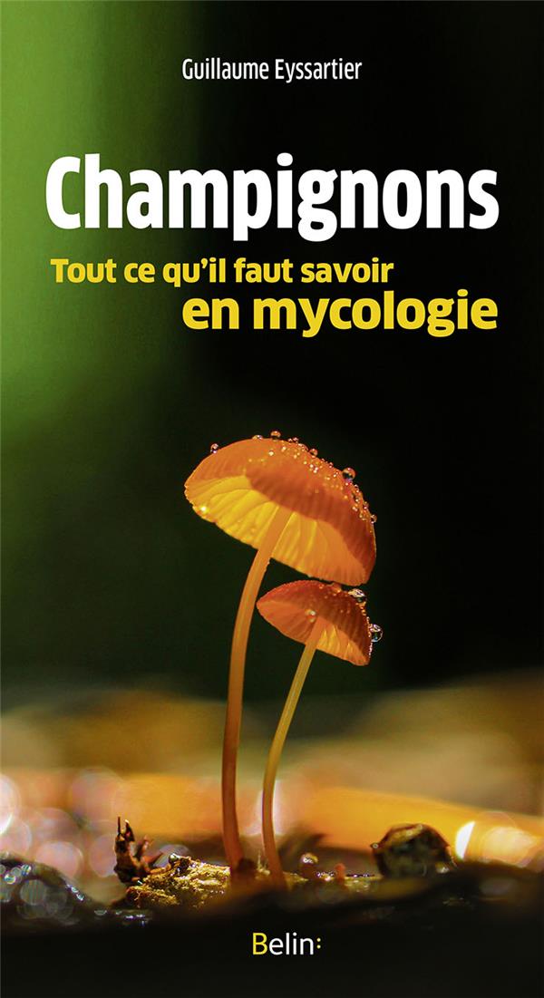 CHAMPIGNONS, TOUT CE QU'IL FAUT SAVOIR EN MYCOLOGIE