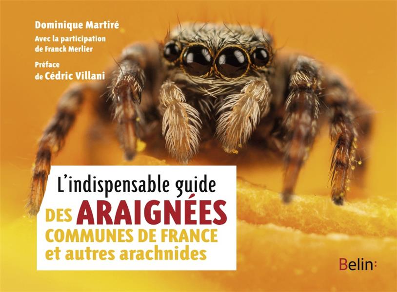 L'INDISPENSABLE GUIDE DES ARAIGNEES DE FRANCE ET AUTRES ARACHNIDES