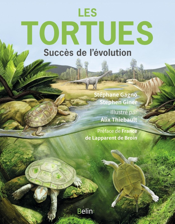 LES TORTUES - SUCCES DE L'EVOLUTION