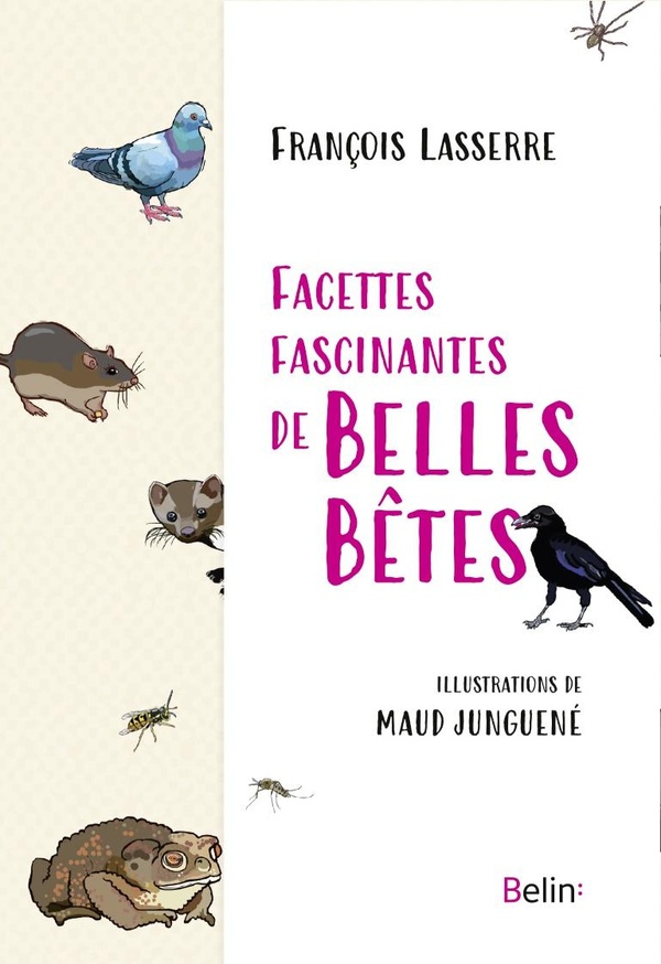 FACETTES FASCINANTES DE BELLES BETES