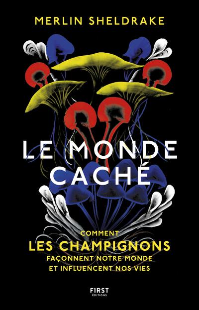 LE MONDE CACHE