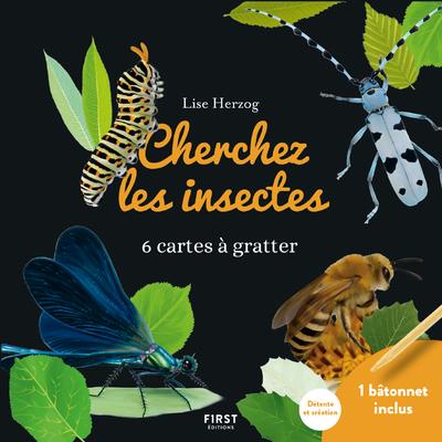 CARTES A GRATTER - CHERCHEZ LES INSECTES