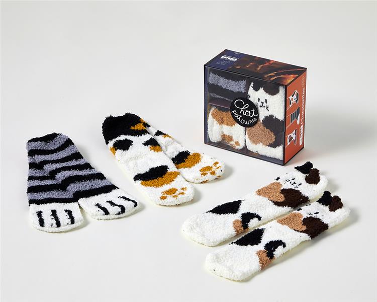 COFFRET LES GOUTERS DE LA FAMILLE CHAT CHAUSSETTES, 2E ED