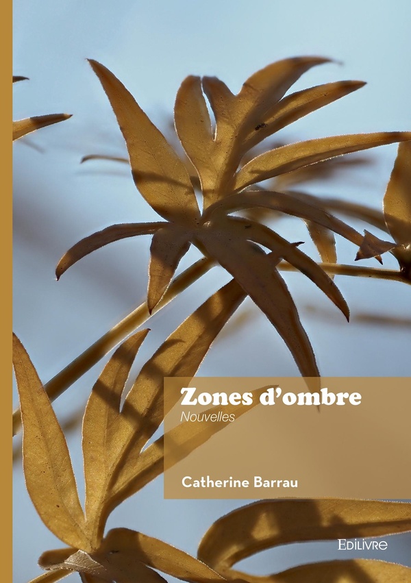 ZONES D'OMBRE - NOUVELLES