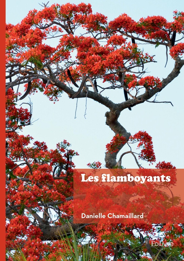 LES FLAMBOYANTS