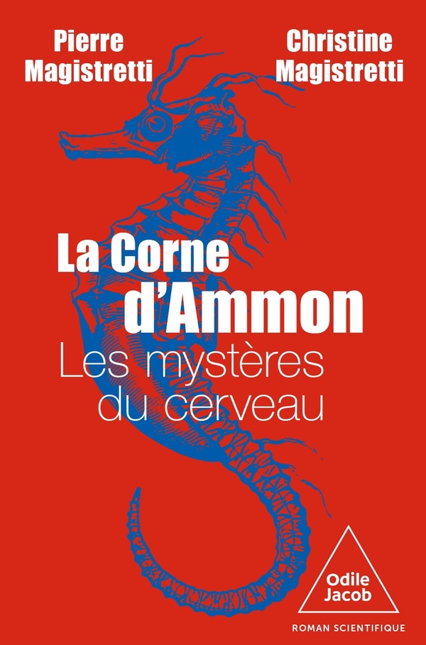 LA CORNE D'AMMON - LES MYSTERES DU CERVEAU