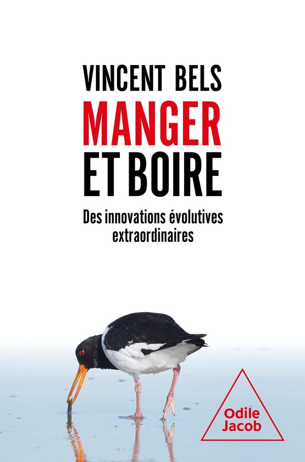 MANGER ET BOIRE - DES INNOVATIONS EVOLUTIVES EXTRAORDINAIRES