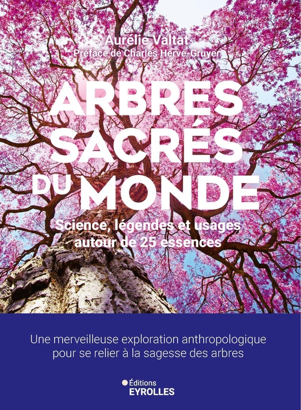 ARBRES SACRES DU MONDE - SCIENCE, LEGENDES ET USAGES AUTOUR DE 25 ESSENCES. UNE MERVEILLEUSE EXPLORA