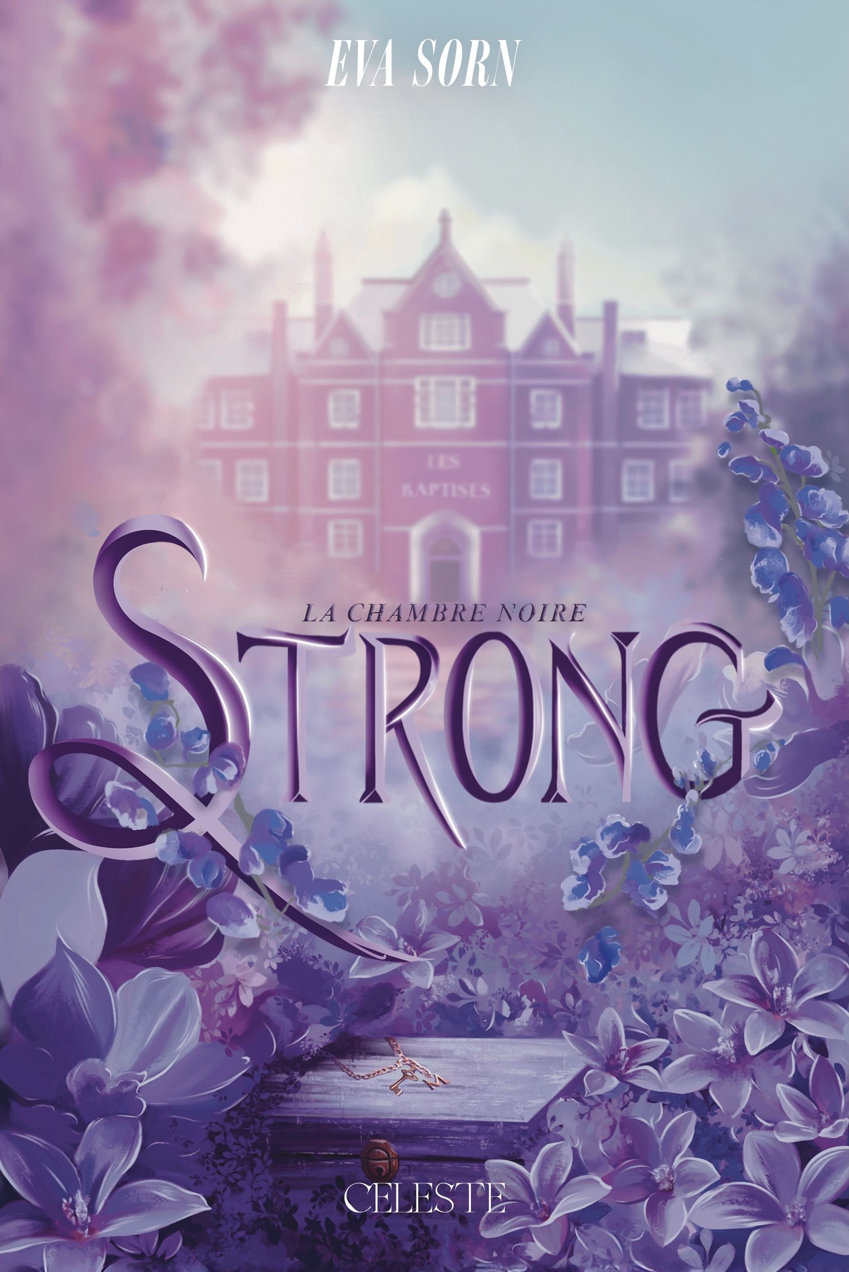 STRONG TOME 1 - LA CHAMBRE NOIRE