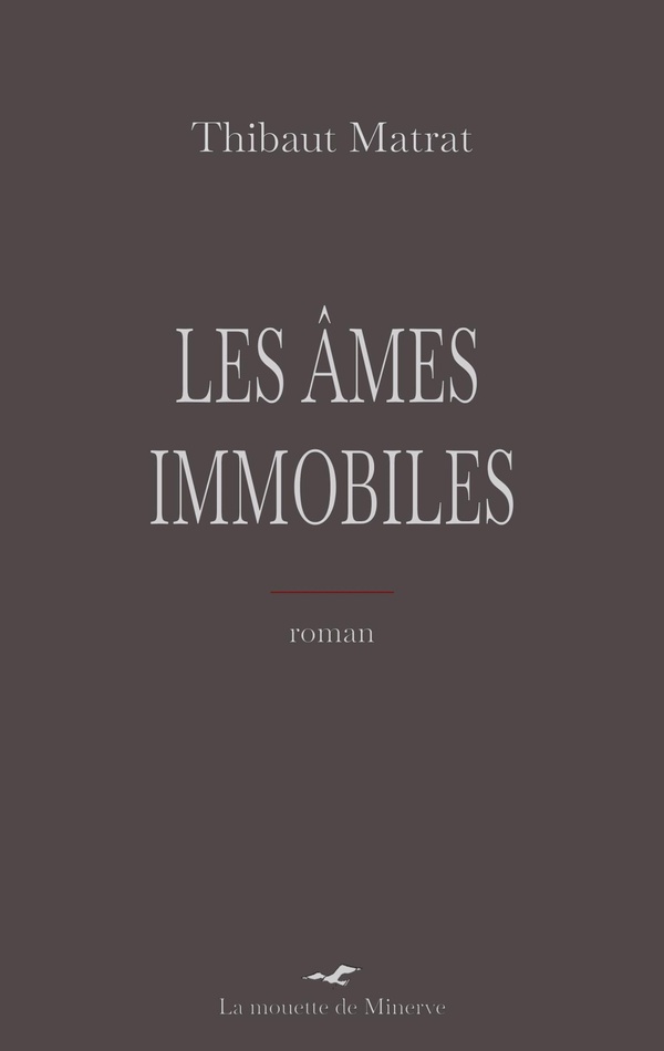 LES AMES IMMOBILES