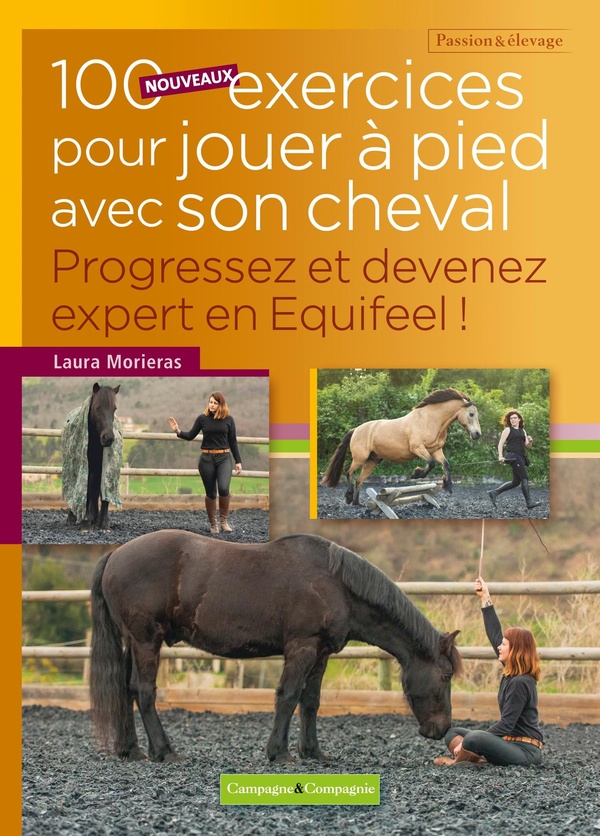 100 NOUVEAUX EXERCICES POUR JOUER A PIEDS AVEC SON CHEVAL