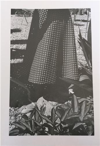 GILLES POURTIER SI MES LARMES COULAIENT DANS TES YEUX /FRANCAIS