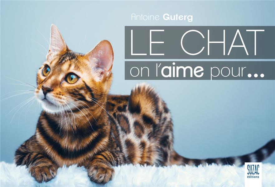 LE CHAT ON L'AIME POUR...