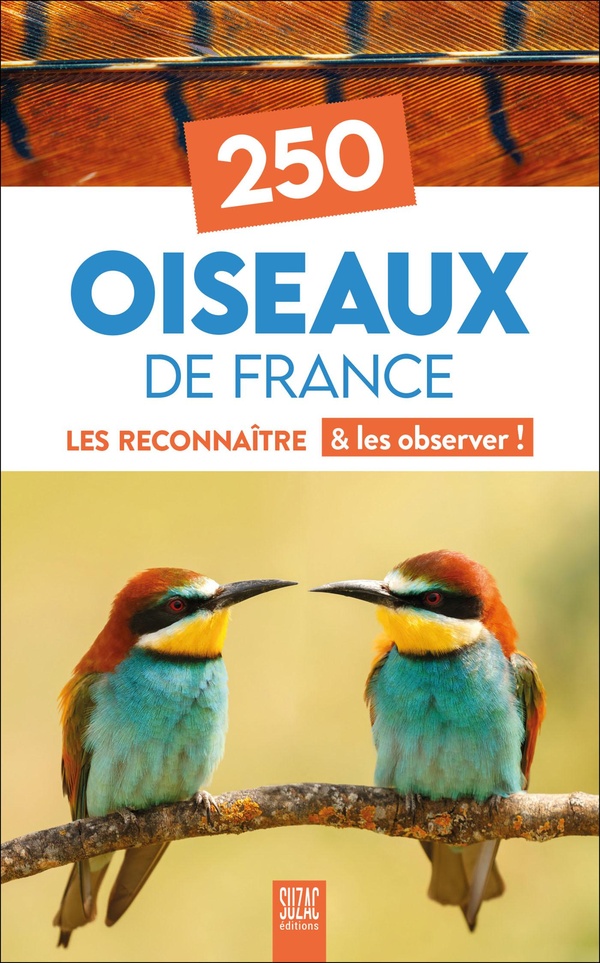 250 OISEAUX DE FRANCE - LES RECONNAITRE & LES OBSERVER