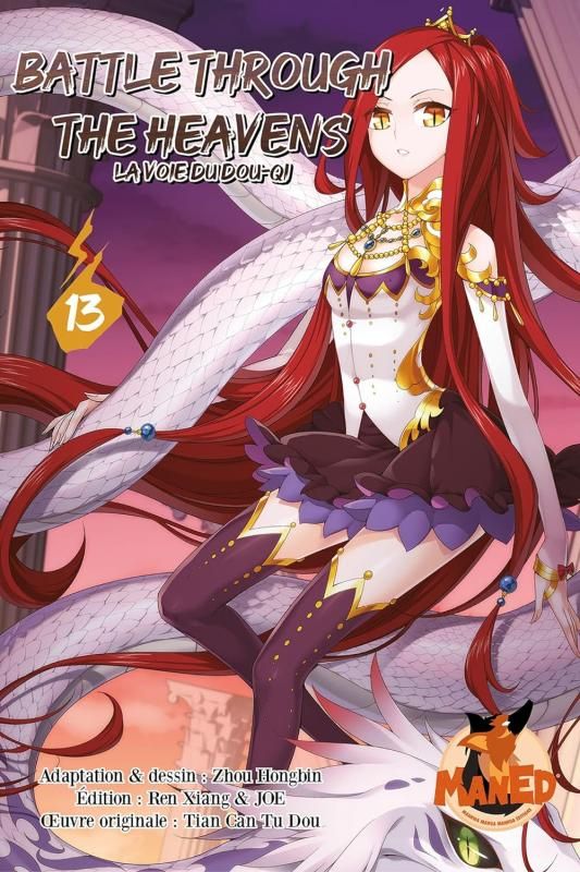 BATTLE THROUGH THE HEAVENS - TOME 13