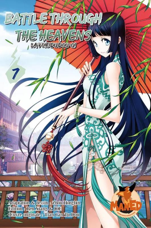 BATTLE THROUGH THE HEAVENS - TOME 07
