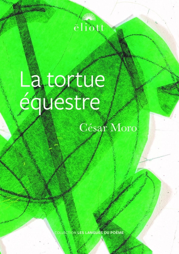 LA TORTUE EQUESTRE